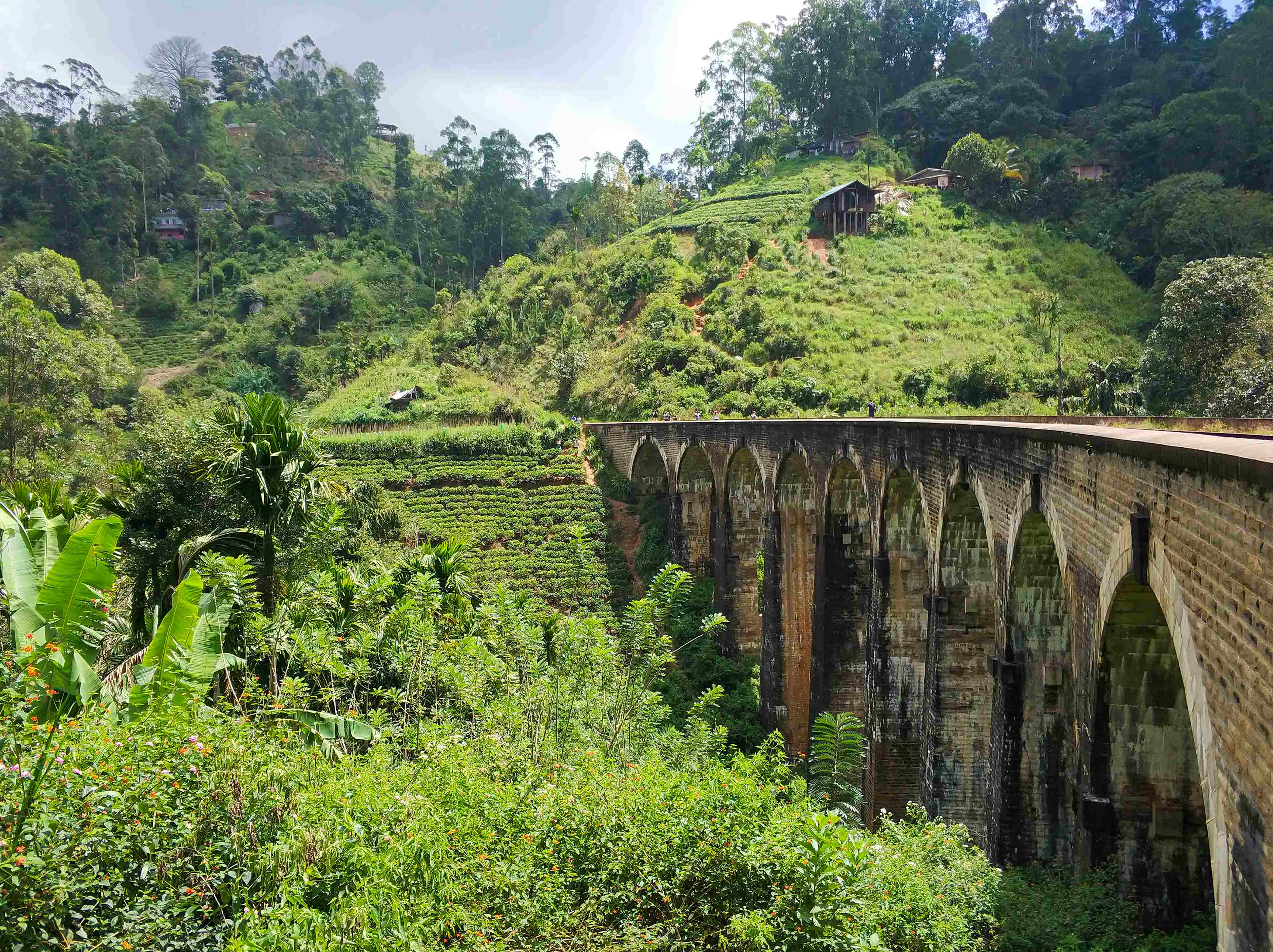 famous-nine-arch-bridge-railway-jungle-sri-lanka_11zon (1).jpg